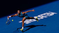 Novak Djokovic - Carlos Alcaraz: apuestas y pronósticos del Open de Australia - 21/1/25