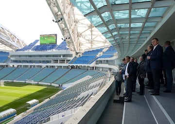 El recinto fue construido para los Juegos de Invierno del 2014 y ahí se realizaron las ceremonias de apertura y clausura. Será el único estadio techado en la Copa Confederaciones, con una estructura de vidrio instalada que permite el ver el mar Negro.