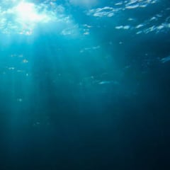 Qué hay en la ‘zona abisal’, el lugar profundo y oscuro del océano más desconocido del planeta