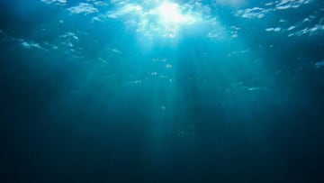 Qué hay en la ‘zona abisal’, el lugar profundo y oscuro del océano más desconocido del planeta