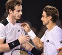 Batalla de Ferrer, que se inclina ante Andy Murray en Australia