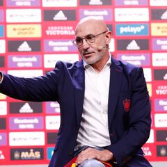 De Luis Enrique a De la Fuente: así cambiará España