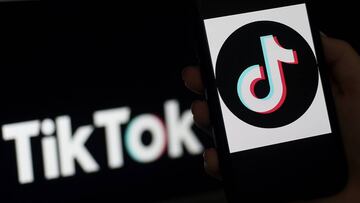 Imagen del dise&ntilde;o de la aplicaci&oacute;n, que funciona como red social, de TikTok.