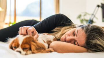 Expertos señalan si es bueno o malo dormir por la noche con tu perro