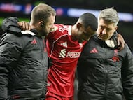 The Swedish star scored in Liverpool's victory over Tottenham Hotspur on Saturday but suffered a fibula fracture in the process.