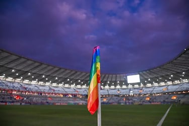 Ronaldo, contra la homofobia
