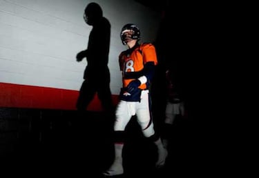 Una grave epidemia de gripe aviar