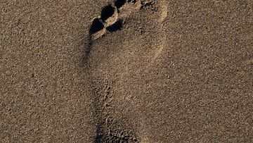 Huellas de pies