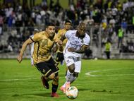 Águilas Doradas - Deportes Tolima en la Liga BetPlay