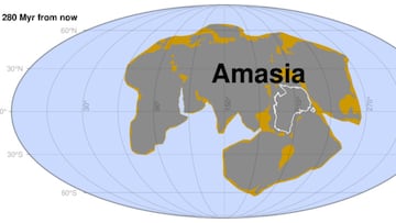 Amasia