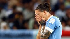 Darwin afronta un problema