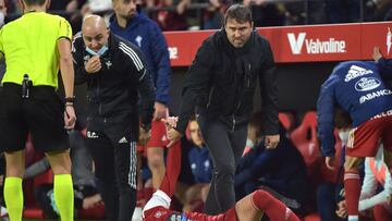 Eduardo Coudet se dirige a Iago Aspas, tirado sobre el césped del Sánchez Pizjuán después de recibir una falta.