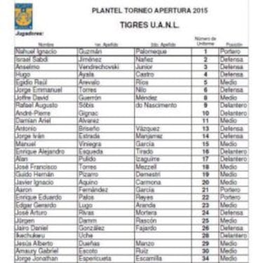 Alan Pulido también fue campeón con Tigres