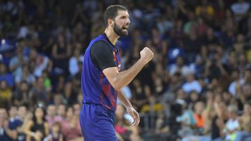 Nikola Mirotic, durante un partido