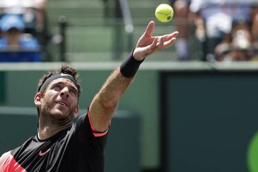 Isner ends Del Potro streak in Miami semi-finals