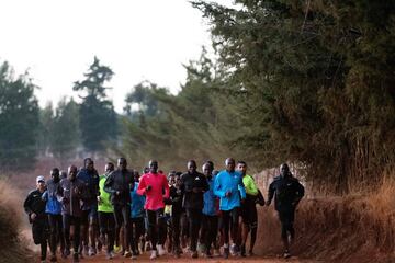 En las zonas de Kapsabet, Iten y Kaptagat, en la parte inferior de la región del Rift de Kenia, se concentran los centros de entrenamiento de donde salen los mejores atletas de las últimas décadas. Los atletas keniatas se dedican en cuerpo y alma al entrenamiento con la esperanza de convertirse en el próximo rey del maratón. 