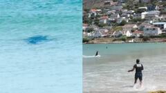 Tibur&oacute;n cobrizo bajo el agua y gente saliendo del agua en una playa de Ciudad del Cabo (Sud&aacute;frica).