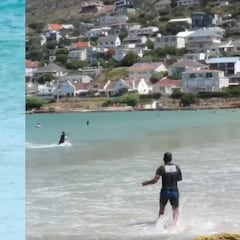Esto es lo que pasa en una playa cuando suena la alarma por la presencia de un tiburón