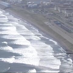 Ballenas quedan varadas en playa de Japón tras el terremoto en Rusia