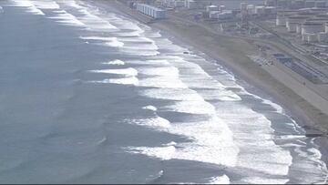Ballenas quedan varadas en playa de Japón tras el terremoto en Rusia