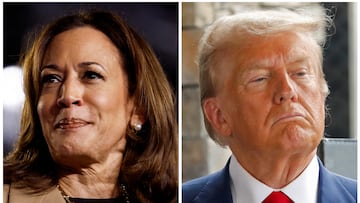 Aquí las propuestas de los candidatos presidenciales, Kamala Harris y Donald Trump, sobre el Crédito Tributario por Hijos.