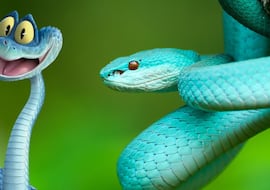 Ni perros ni gatos: ‘Zootopia 2’ está creando una fiebre por comprar serpientes venenosas y las autoridades están preocupadas