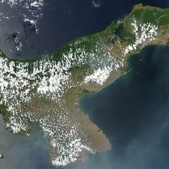 Scientists sound the alarm over never-before-seen ocean event near the Panama Canal