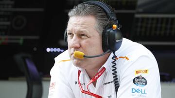 Zak Brown, Executive Director, McLaren