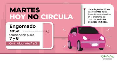 Hoy No Circula, hoy 8 de octubre del 2024: estos autos en Cdmx y Edomex se quedan en casa