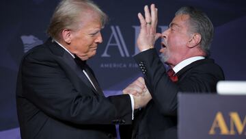 El presidente electo Donald Trump tendrá ojos y oídos en Hollywood, ya que nombró a tres actores como sus “embajadores especiales”.