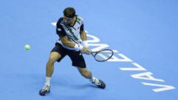 David Ferrer.