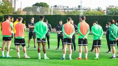 El Elche aparca las renovaciones hasta el mes de febrero