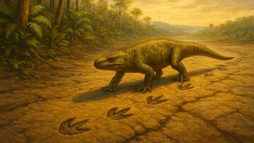 Reptile-like animal with claws