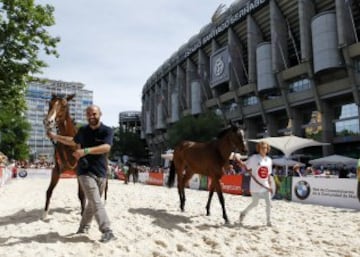 Las carreras de caballos regresan a la Castellana