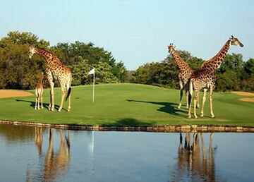 Este bello y exótico campo de golf de 9 hoyos ofrece al visitante una curiosa experiencia al estar rodeado de una gran variedad de animales salvajes. 