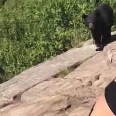 Una chica se encuentra con un oso y se gana el apodo de 'la reina de la calma'