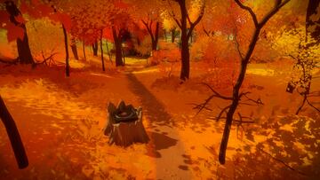 Captura de pantalla - The Witness (PC)