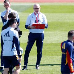 Luis de la Fuente ha traído la paz