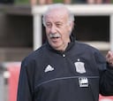 Del Bosque verá la final de Champions en la concentración