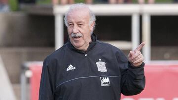 Vicente del Bosque, durante el primer entrenamiento de la selección española en Schruns.