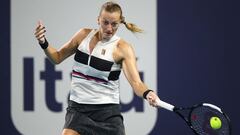 Petra Kvitova pulls out of French Open with arm injury