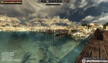 Mortal Online, Impresiones