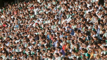 Imagen de la grada de El Arcángel