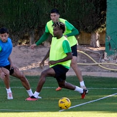 Álex Martín y Guti, ausentes en el regreso al trabajo del Elche