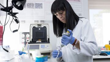 La doctora Gema Moreno-Bueno, jefa del Laboratorio de Investigaci&oacute;n Traslacional de la Fundaci&oacute;n MD Anderson Cancer Center Espa&ntilde;a, ser&aacute; la coordinadora del proyecto.
 FUNDACI&Oacute;N MD ANDERSON CANCER CEN
   (Foto de ARCHIVO)