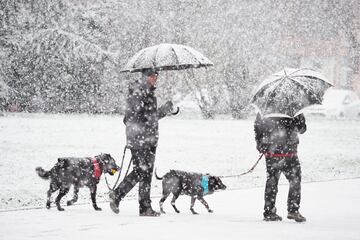 Dos personas y sus perros caminan bajo la nieve en Pamplona, Navarra. El fuerte temporal asociado a las borrascas Gérard y Fien ha hecho que Navarra amanezca hoy con abundantes precipitaciones de nieve en la zona norte y los primeros problemas para el tráfico. Una nevada que en algunos puntos de Navarra ha superado las previsiones, con acumulaciones de más de 20 centímetros, llegando a 40 en Belagua.