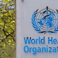 La OMS descarta que el coronavirus se creara en un laboratorio