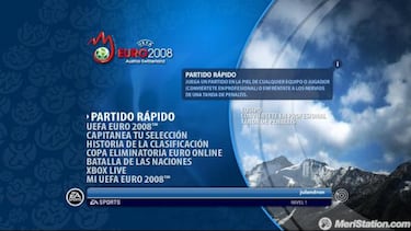 UEFA Euro 2008, Impresiones