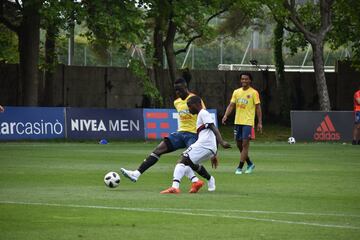 La Selección Colombia jugó un amistoso a puerta cerrada ante la Primavera del Genoa en Milanello, en el cual José Pékerman puso a prueba los esquemas y variantes que ha trabajado en los últimos días. James y Cristian Zapata, los ausentes. Otro que no tuvo acción fue José Fernando Cuadrado por decisión técnica.