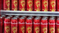 Qatar recula: no habrá venta de alcohol en los estadios